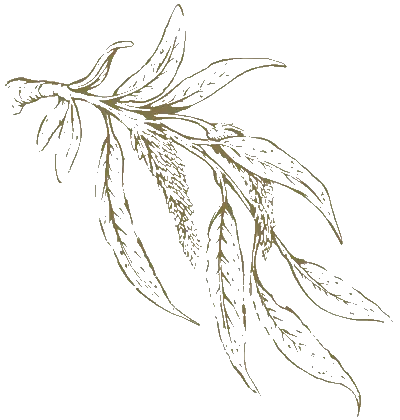 M3M Jewelcrest Avenue